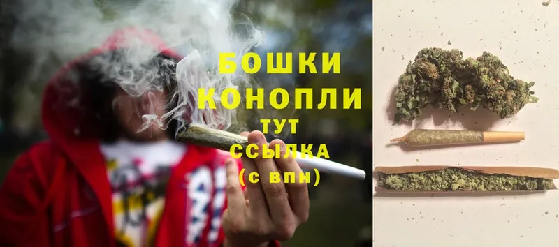 Канабис OG Kush  Георгиевск 